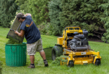 Lawn Landscaping: Transform Your Outdoor Space with Professional Design and Care