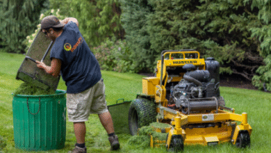 Lawn Landscaping: Transform Your Outdoor Space with Professional Design and Care