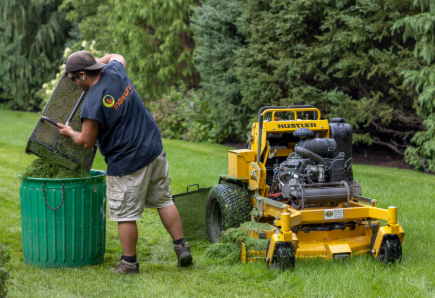 Lawn Landscaping: Transform Your Outdoor Space with Professional Design and Care