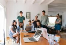 business innovation and leadership