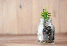 Fund Types: A Comprehensive Guide to Investment Vehicles