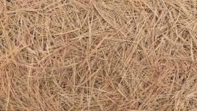 The Benefits of Using Pine Straw for Slopes and Hard-to-Reach Areas