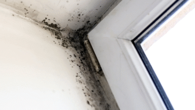 How to Identify Mold in HVAC Systems and Remove It Safely