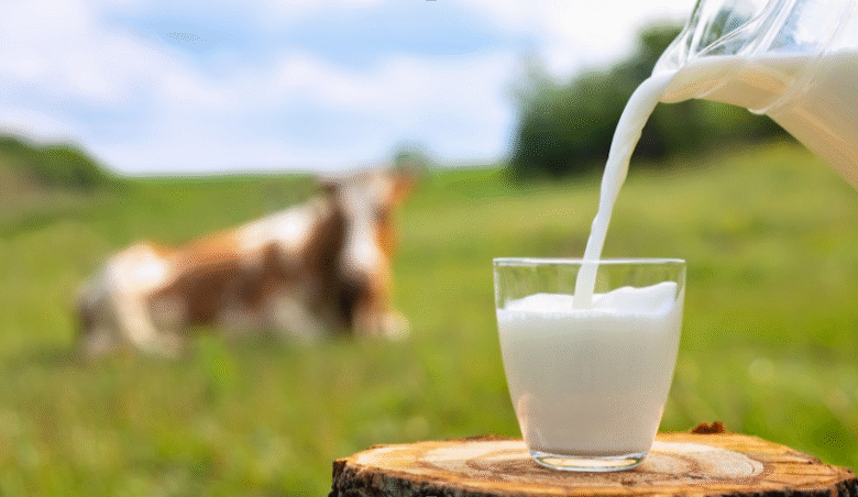 The Delayed Reaction: Understanding Late-Onset Cow’s Milk Allergy